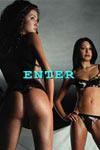 click to enter in Microfonine - 2001